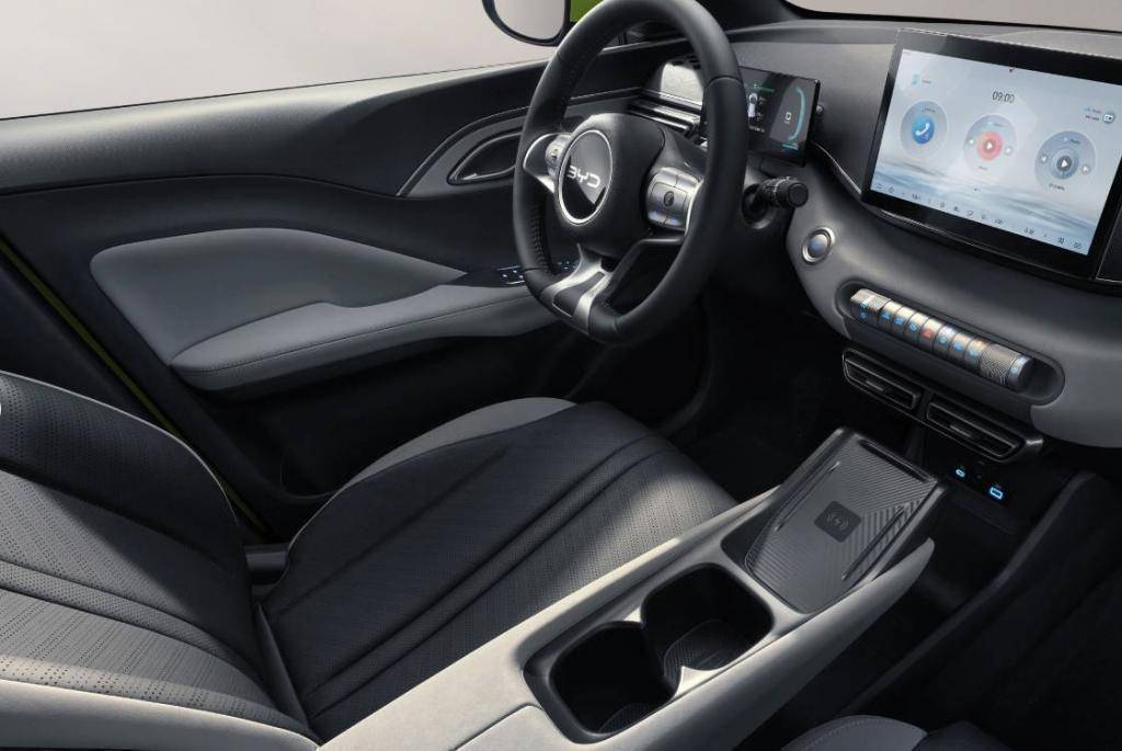 BYD DOLPHIN SURF Active 30 kWh  / 65kW