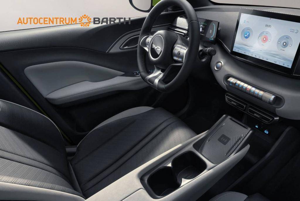 BYD DOLPHIN SURF Active 30 kWh  / 65kW