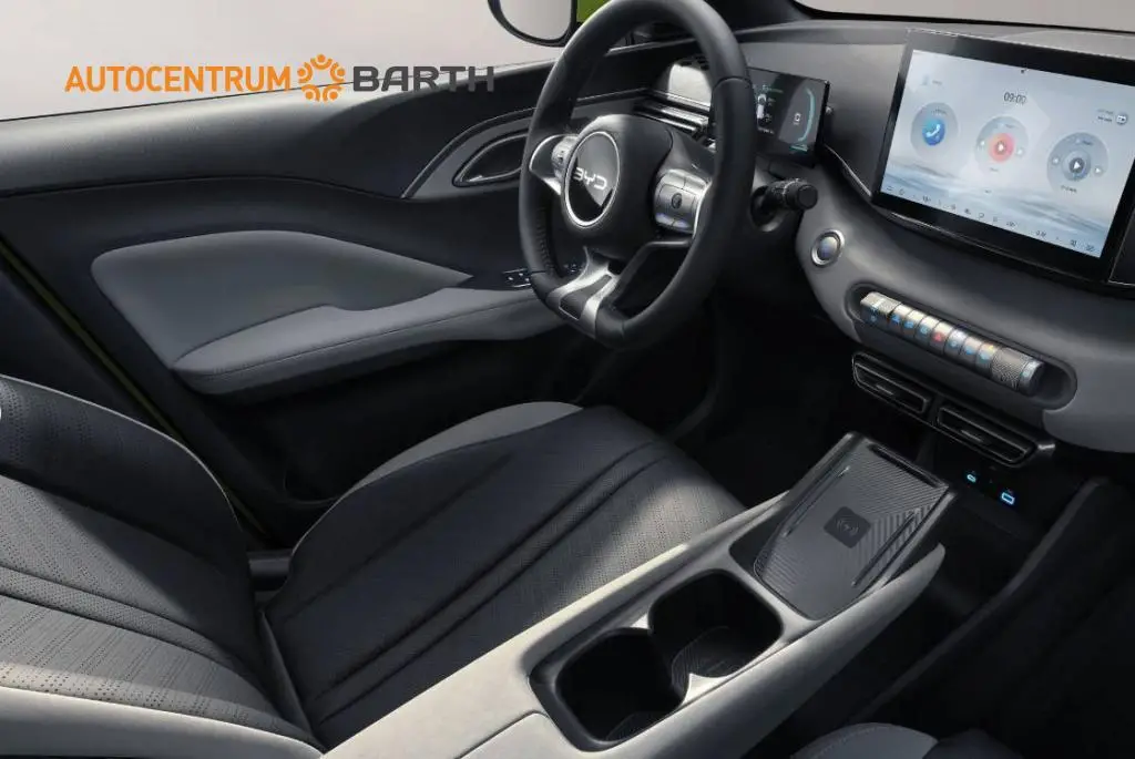 BYD DOLPHIN SURF Active 30 kWh  / 65kW