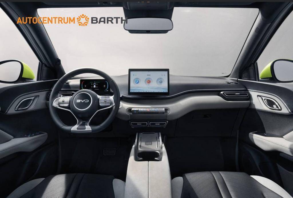 BYD DOLPHIN SURF Active 30 kWh  / 65kW