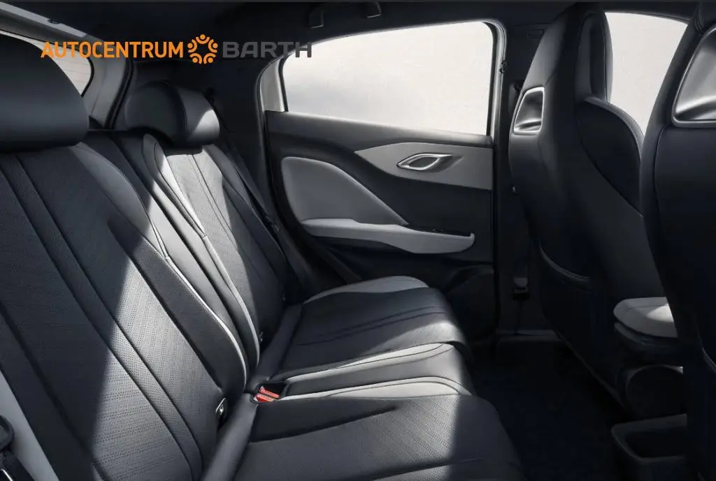 BYD DOLPHIN SURF Active 30 kWh  / 65kW