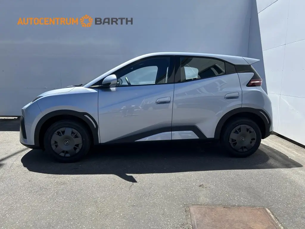 BYD DOLPHIN SURF Active 30 kWh  / 65kW