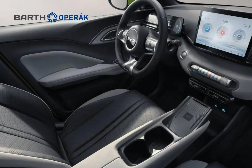 BYD DOLPHIN SURF Active 30 kWh  / 65kW