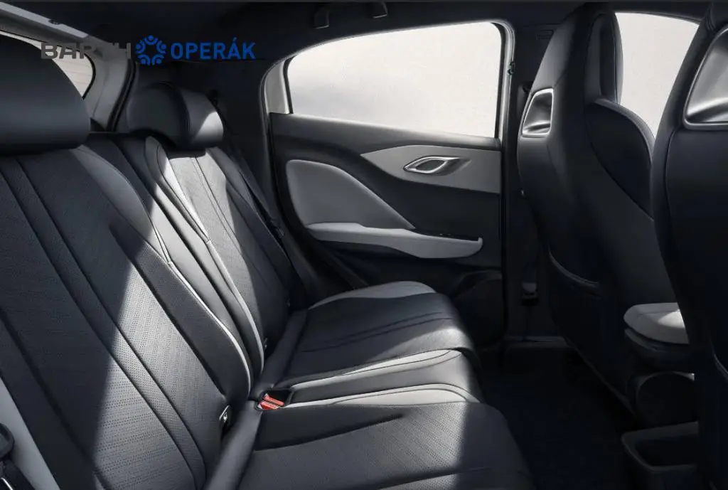BYD DOLPHIN SURF Active 30 kWh  / 65kW
