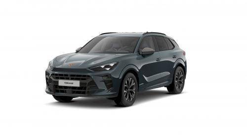 Cupra Terramar 1.5 eTSI 110kW DSG
