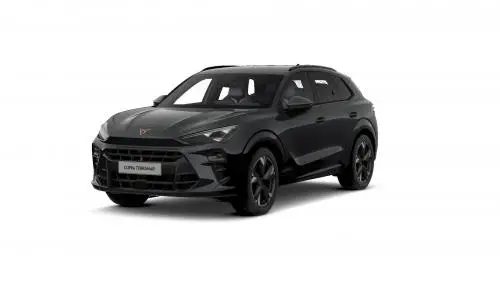 cupra-terramar-dsg-4wd-2-0-tsi-150kwn7n7-z9r-1-68a71b1d273ec.jpg