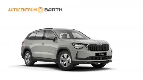 skoda-kodiaq-selection-7-dsg-2-0tdi-110kwprede-6a28061aaf537.jpg
