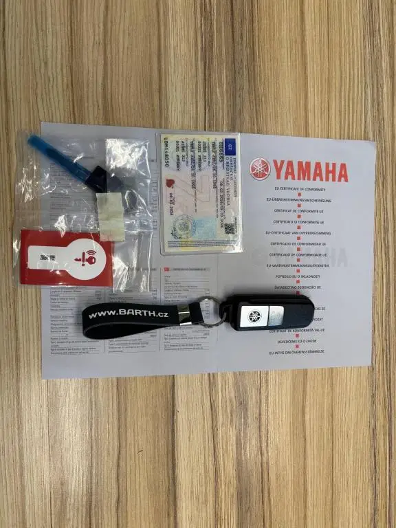 Yamaha MT-09 Y-AMT  / 87kW