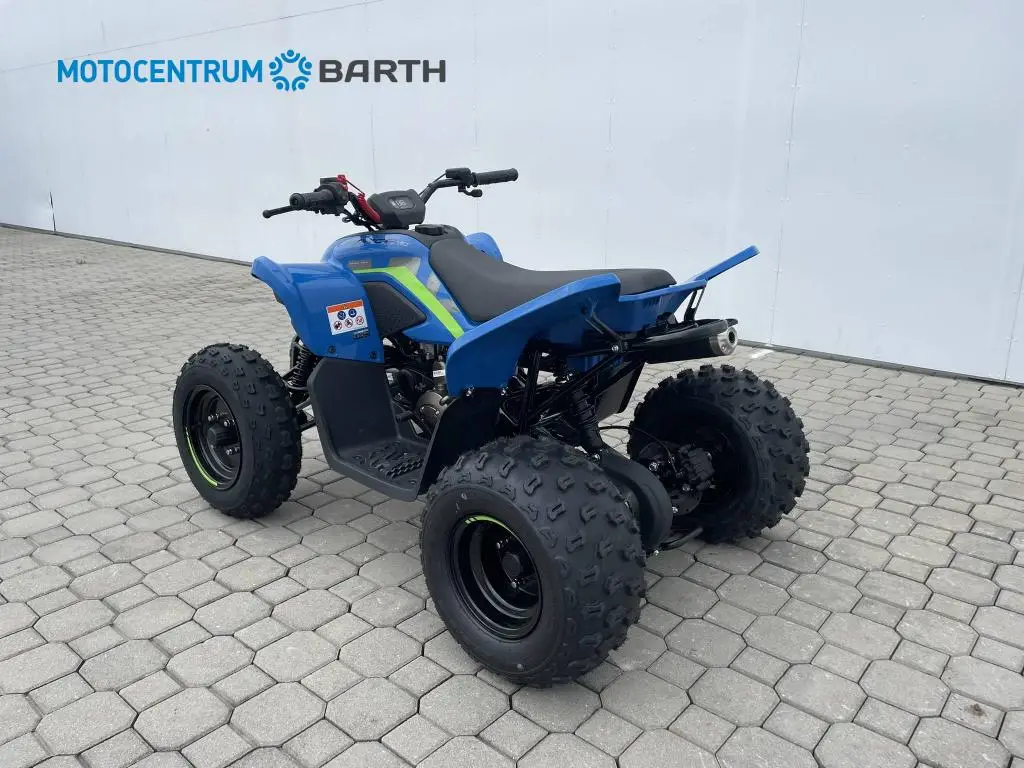 CFMOTO Gladiator X110 LE 