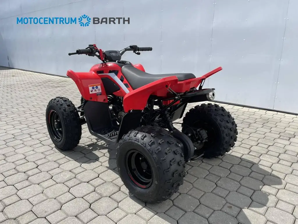 CFMOTO Gladiator X110 LE 