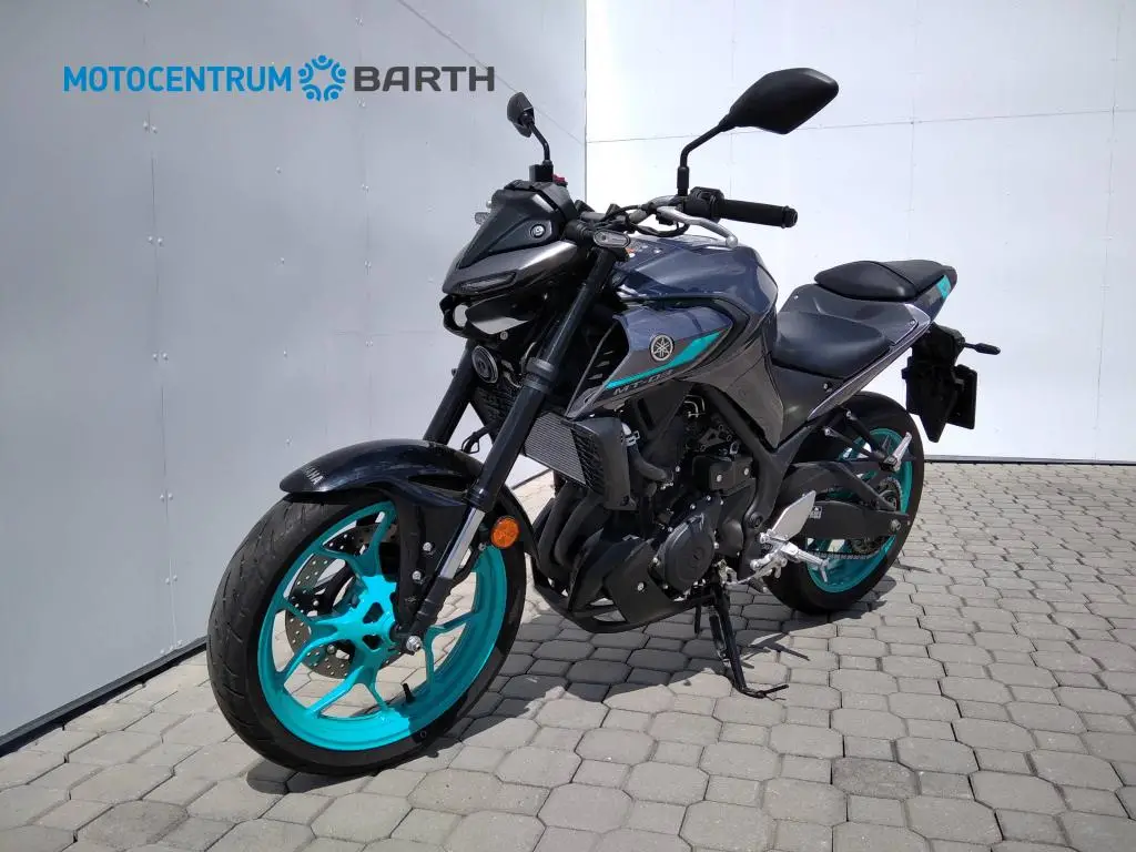Yamaha MT-03   / 30kW